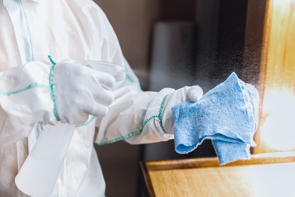 professional cleaning service