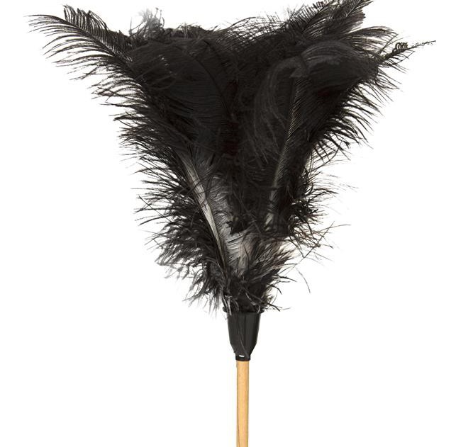 Feather Duster (Short)