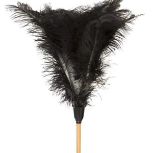 Feather Duster (Long)